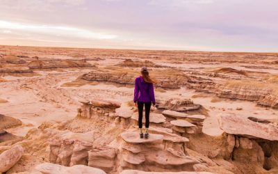 Blog 1 - Blog The Truth About Vaginal Estrogen Safety