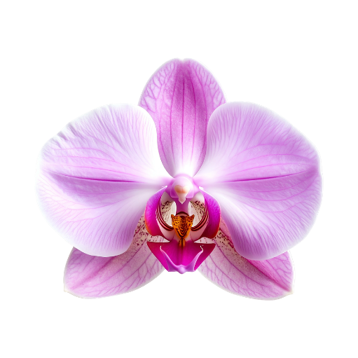 Untitled design 17 - hormone wellness