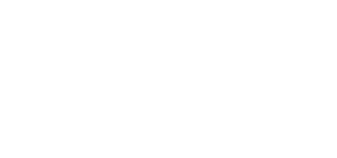 20 years of experience